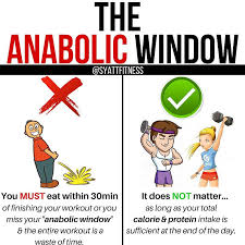 Anabolic Window Fitness Myth